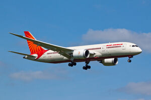 Air India negira da su putnici našli guštera u hrani