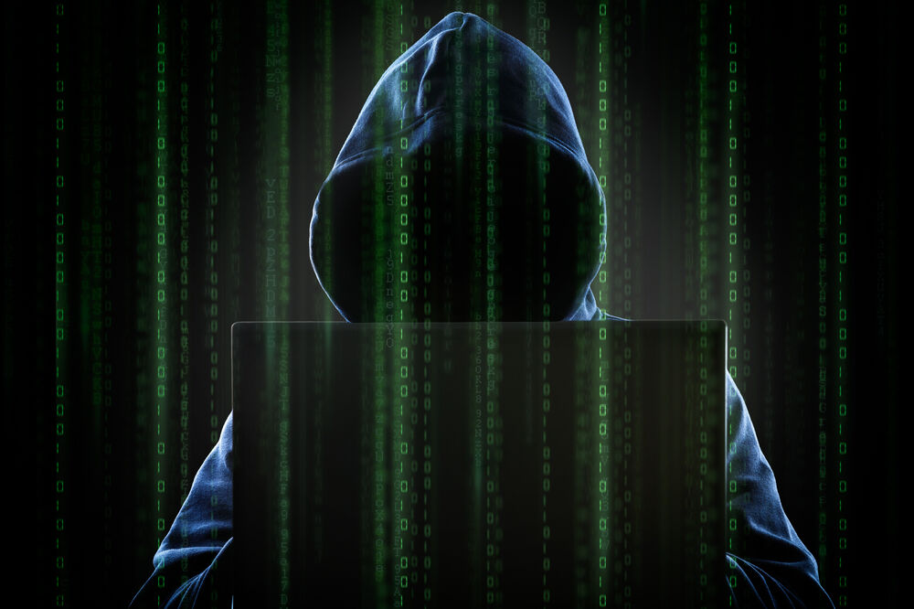 Hakeri, Foto: Shutterstock
