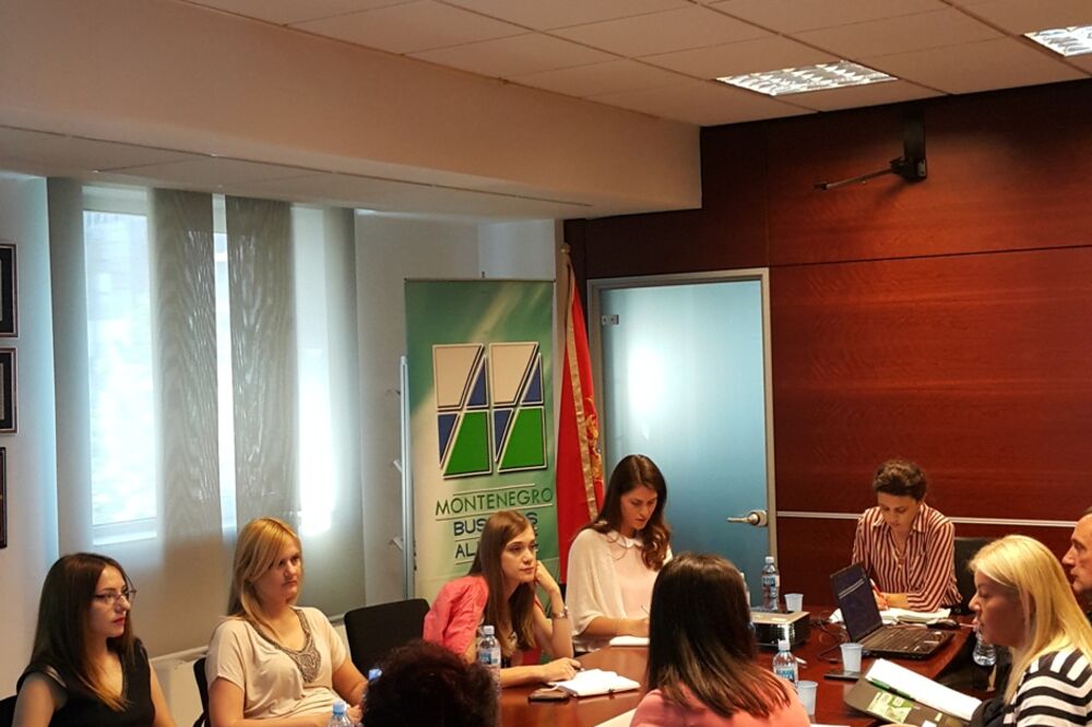 Radna grupa MBA, Foto: MBA