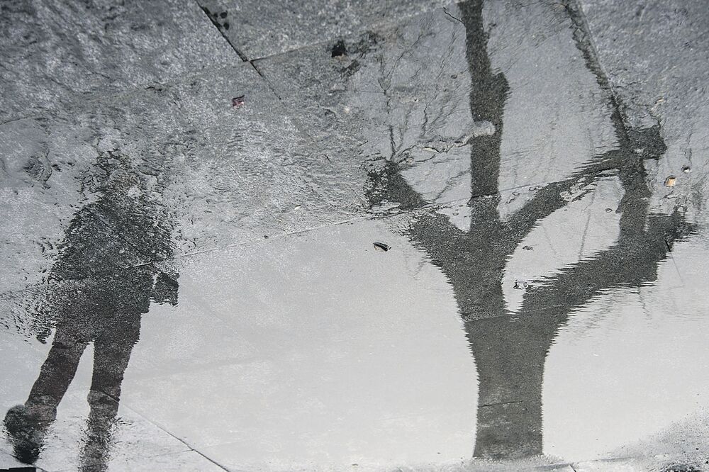 Ilustracija (Novina)