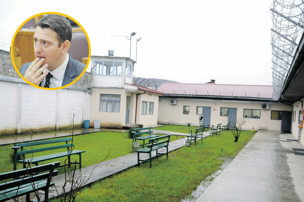 ZIKS, Kemal Zoronjić, Foto: Vijesti online, Boris Pejović