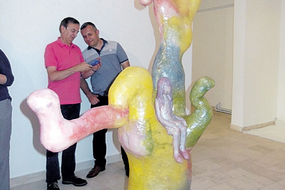 Vlatka Vujošević rad, Foto: Svetlana Mandić