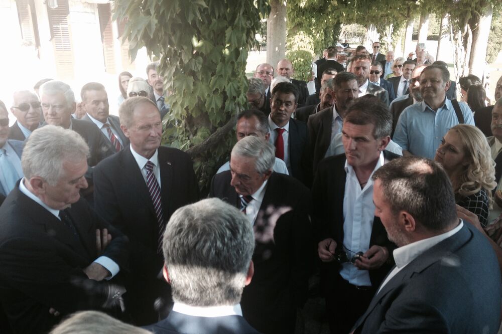 Tomislav Nikolić, Foto: Vuk Lajović