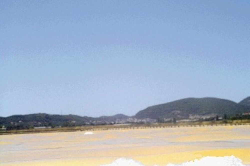 solana._3, Foto: ARHIVA „VIJESTI”