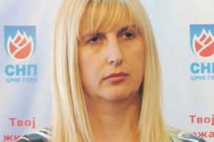 Jonica pisala Pažinu: Koliko je predmeta dodijeljeno tužiocima od...