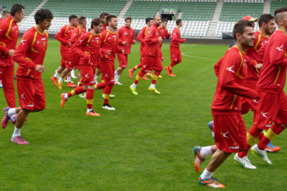 cRNA gORA, Foto: FSCG