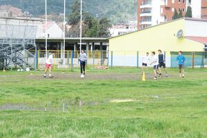 Vlasnici zemljišta poručili Opštini: Prodaja Lugova neće ići tako...