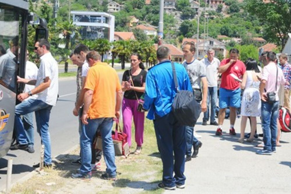 Poljoprivreda, proizvođači, Crna Gora, Foto: Gov.me