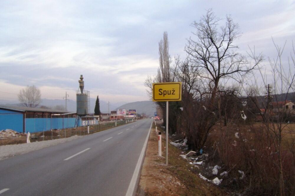 Spuž, Foto: Jelena Jovanović