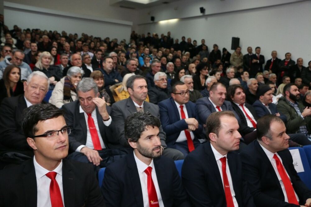 Demokratska Crna Gora, Foto: Demokratska Crna Gora