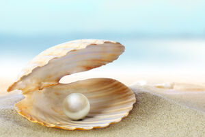 Biser star 2.000 godina otkriven u Australiji