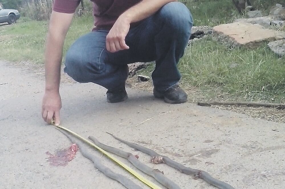 Igor Joličić, Foto: Privatna arhiva