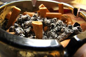 Češka vlada za potpunu zabranu pušenja u restoranima