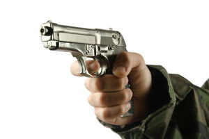 Naoružani upali u Osnovnu školu, uperili pištolj u djecu i oteli...