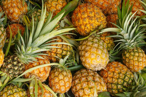 Policija zaplijenila ananase punjene kokainom