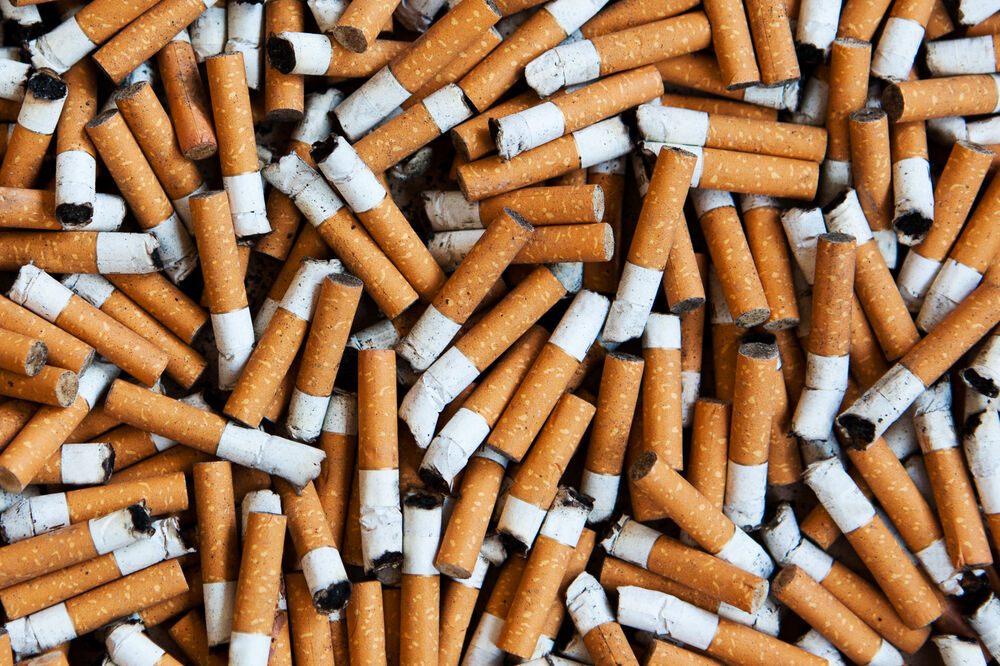 opušci, pikavci, Foto: Shutterstock