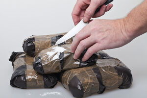 Portugal: Zaplijenjena tona kokaina, uhapšeni državljani Srbije