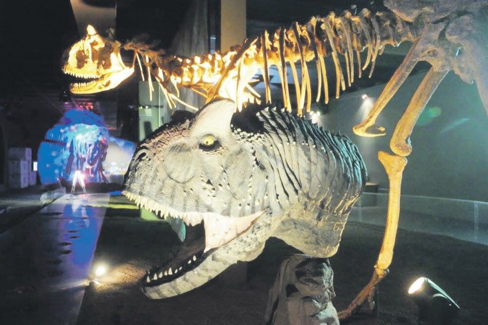 dinosaurus (novina)