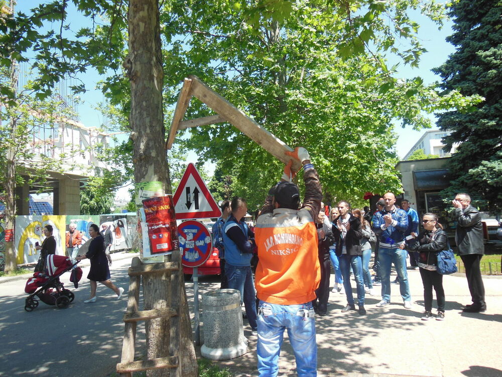 Alternativa Nikšić