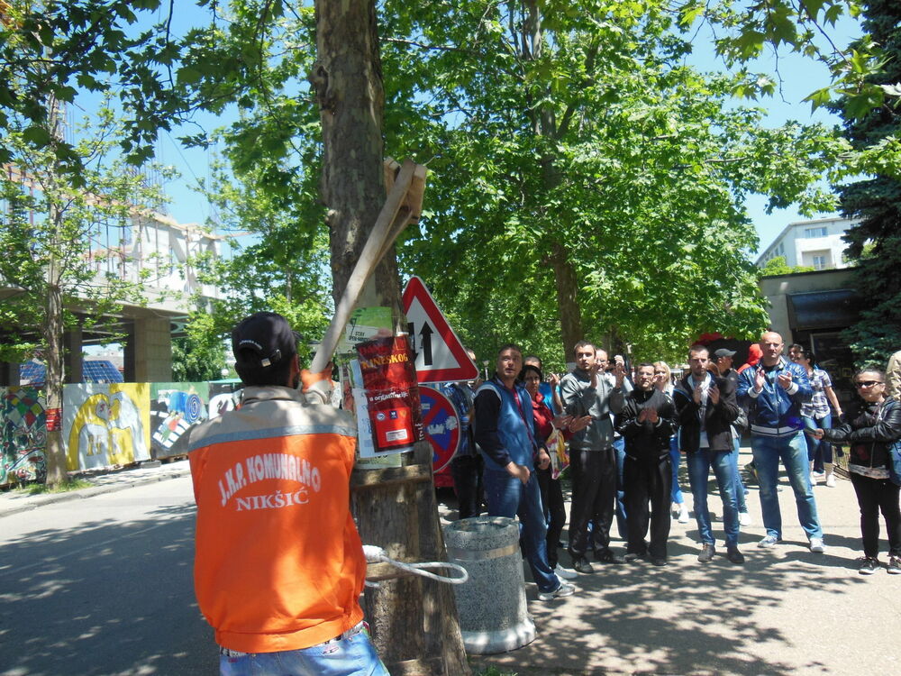 Alternativa Nikšić