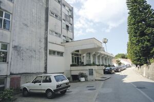 Meljine - 100 miliona