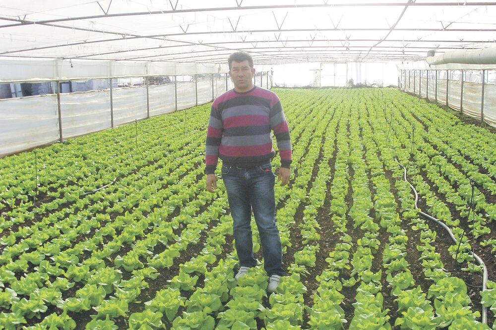 Željko Milić, Foto: Arhiva "Vijesti"