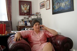 Kovačević u Danilovgradu: Zajedničkim naporima rješavati socijalne...