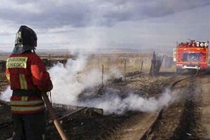 Sibir: Bjesni 28 šumskih požara na 10 lokacija
