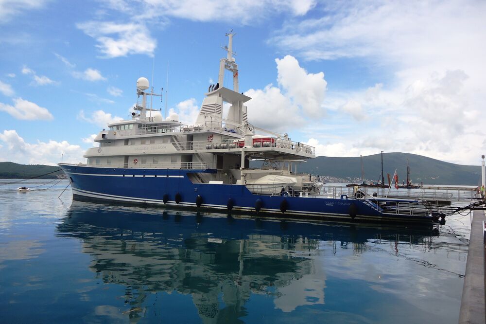 Golden Shadow, Foto: Siniša Luković