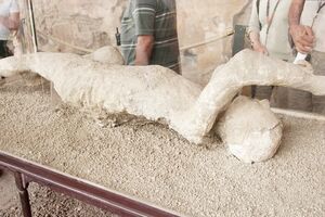Nakon više od 1.900 godina, tijela stradalih u Pompeji ugledaće...