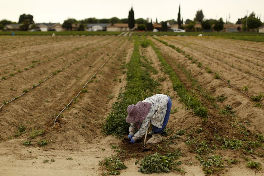 Kalifornija suša, Foto: Reuters