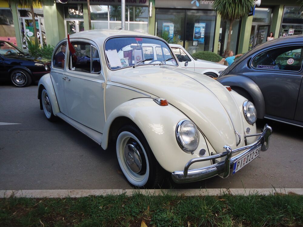 volkswagen Tivat
