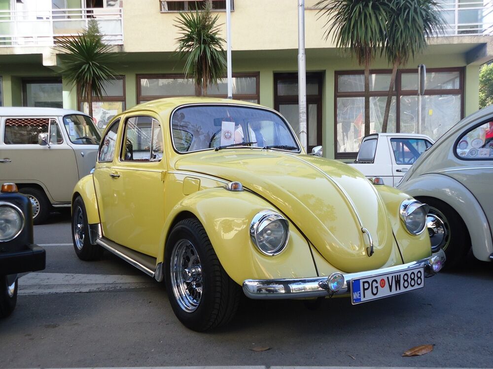 volkswagen Tivat