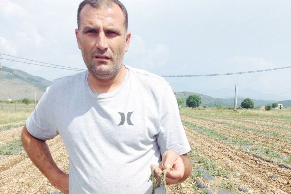 Valentino Junčaj, Foto: Privatna arhiva