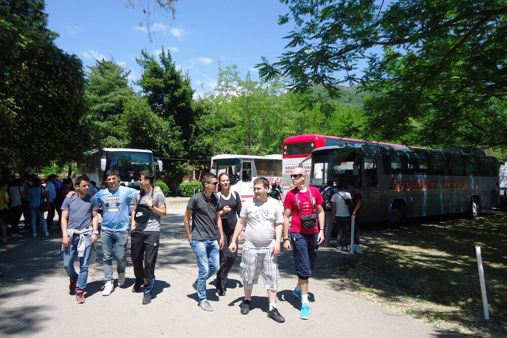 Mašinijada Tivat, Foto: Siniša Luković