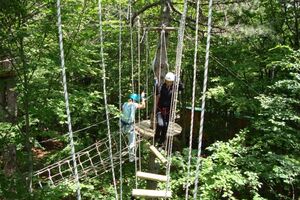 NP Lovćen: Za prva četiri mjeseca 7.000 gostiju