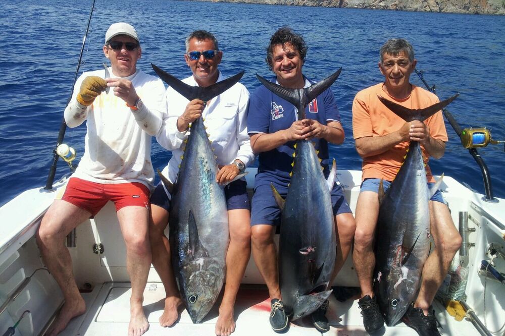 tune, Radojica Gradašević, Foto: Slavica Kosić