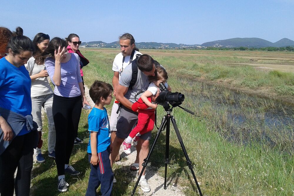 Dani drimskog sliva, Foto: Green Home