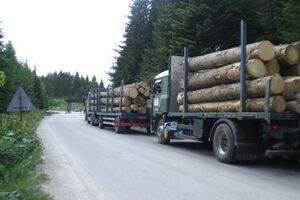 SNP: Kontrolisani haos stvarnih centara moći u oblasti koncesija