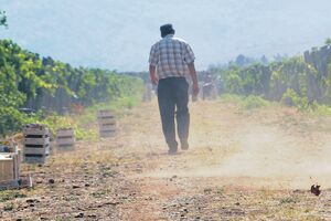 PzP Bijelo Polje: Mladi da ne odlaze, već da mijenjaju vlast