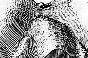 Velika transformacija