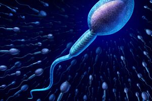 Zbogom neplodnosti: Francuzi stvorili instant spermu
