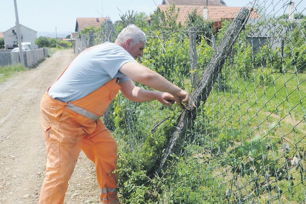 Budo Ivanović, Foto: Luka Zeković