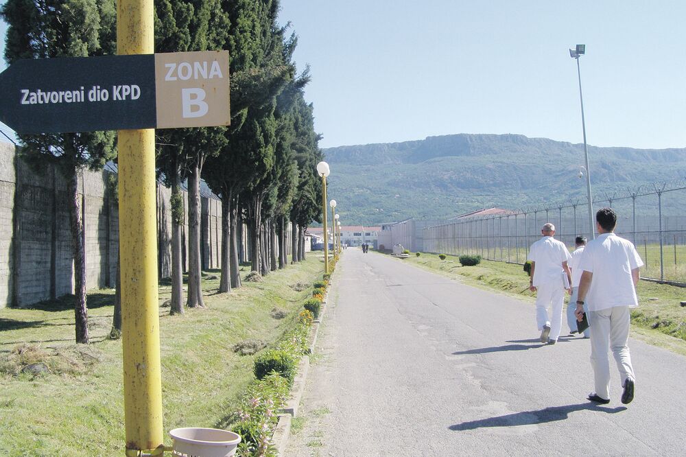 ZIKS, Foto: Jelena Jovanović