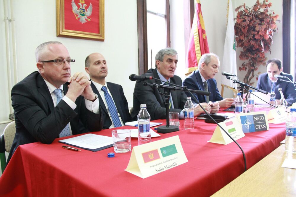 Panel diskusija o NATO integracijama Crne Gore, Foto: Kabinet potpredsjednika Skupštine