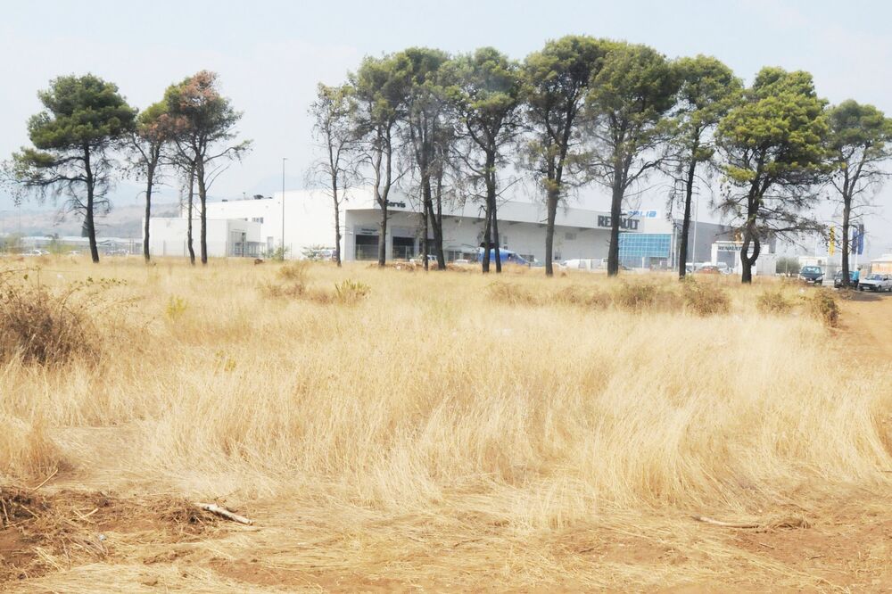 Vesna Bošković, Foto: Vesko Belojević