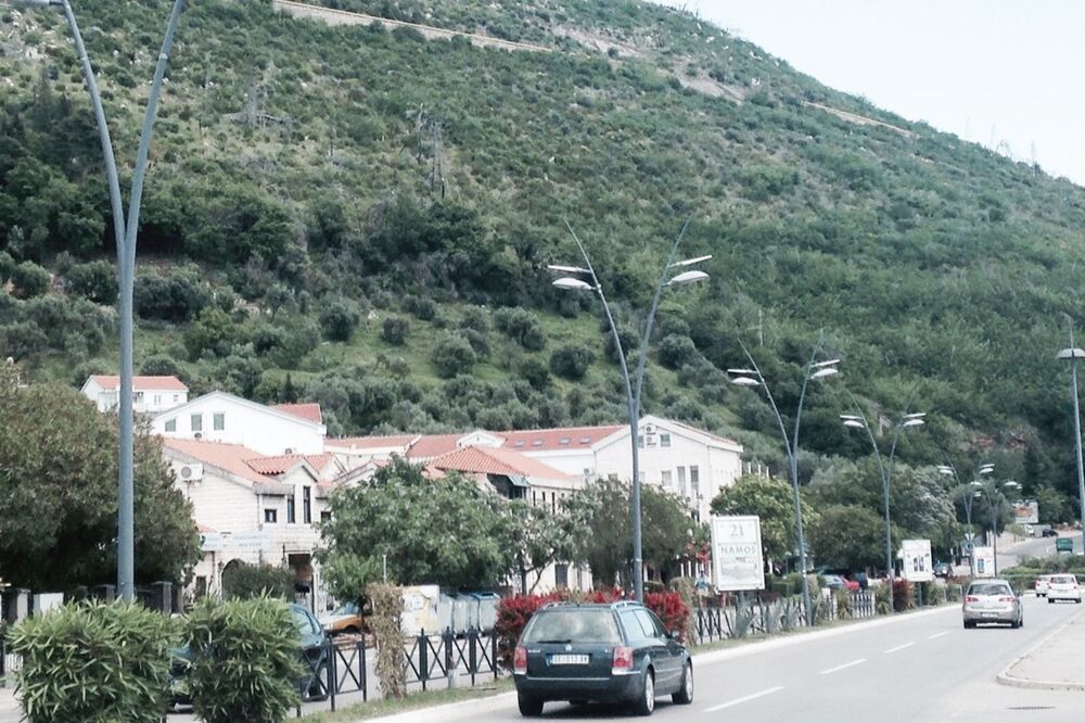 Podkošljun, Foto: Vuk Lajović