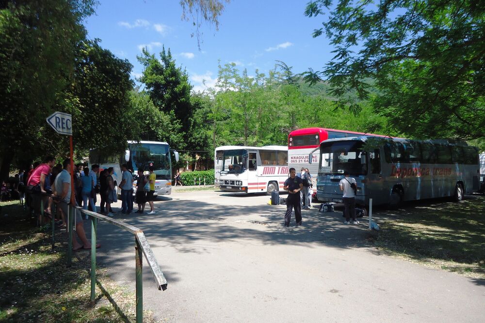 Mašinijada Tivat, Foto: Siniša Luković