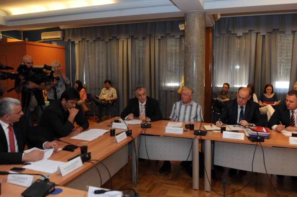 Odbor za bezbjednost, Foto: Savo Prelević