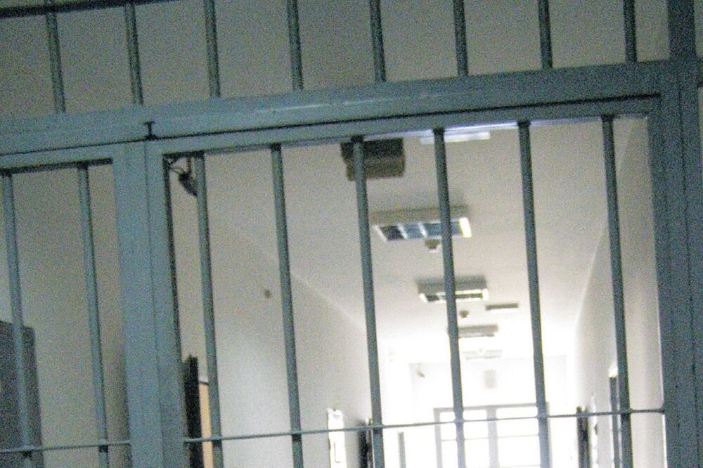 ZIKS, Foto: Jelena Jovanović